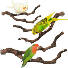 3 Sizes Natural Parrot Perch Grape Wood Bird Stand Pole Parakeet Paw Grinding Fo