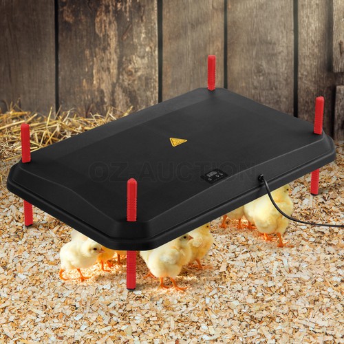 Chick Brooder Heating Plate Warmer Chicken Coop Brooding Heater Poultry Duckling - Picture 51 of 61