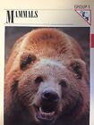Wildlife-Fact-File-Mammal s-Wild Animals-School-Collectors -Nature-From 1 to 160