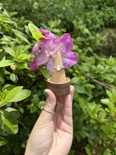 Moonstone Rings Crystal Jewelry, Adjustable, Intuitively Chosen