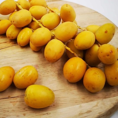 Barhi Yellow Date Palm 35+ Seedss (Phoenix dactylifera) Sweet Date Palm