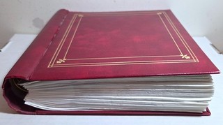 Victorian trade card album; 1880s scraps ads history old huge lot (156) #3