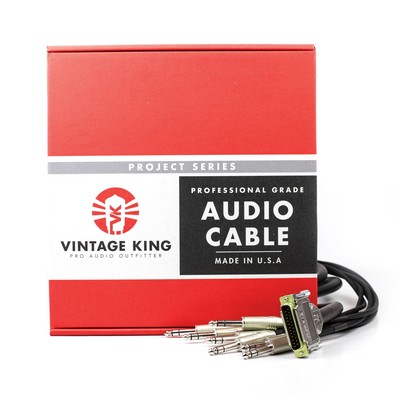 Vintage King Project Series DB25 - TRS - 3' * Open Box / Demo Deal *