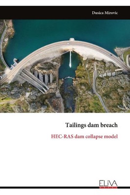 Dusica Mirovic | Tailings dam breach | Taschenbuch | Englisch (2024)