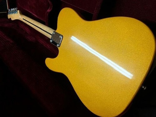 NEW GOLDEN SPARKLE TL COZART 6 STRING ELECTRIC GUITAR-WITH HARD SHELL TWEED CASE - 第 4/10 張圖片