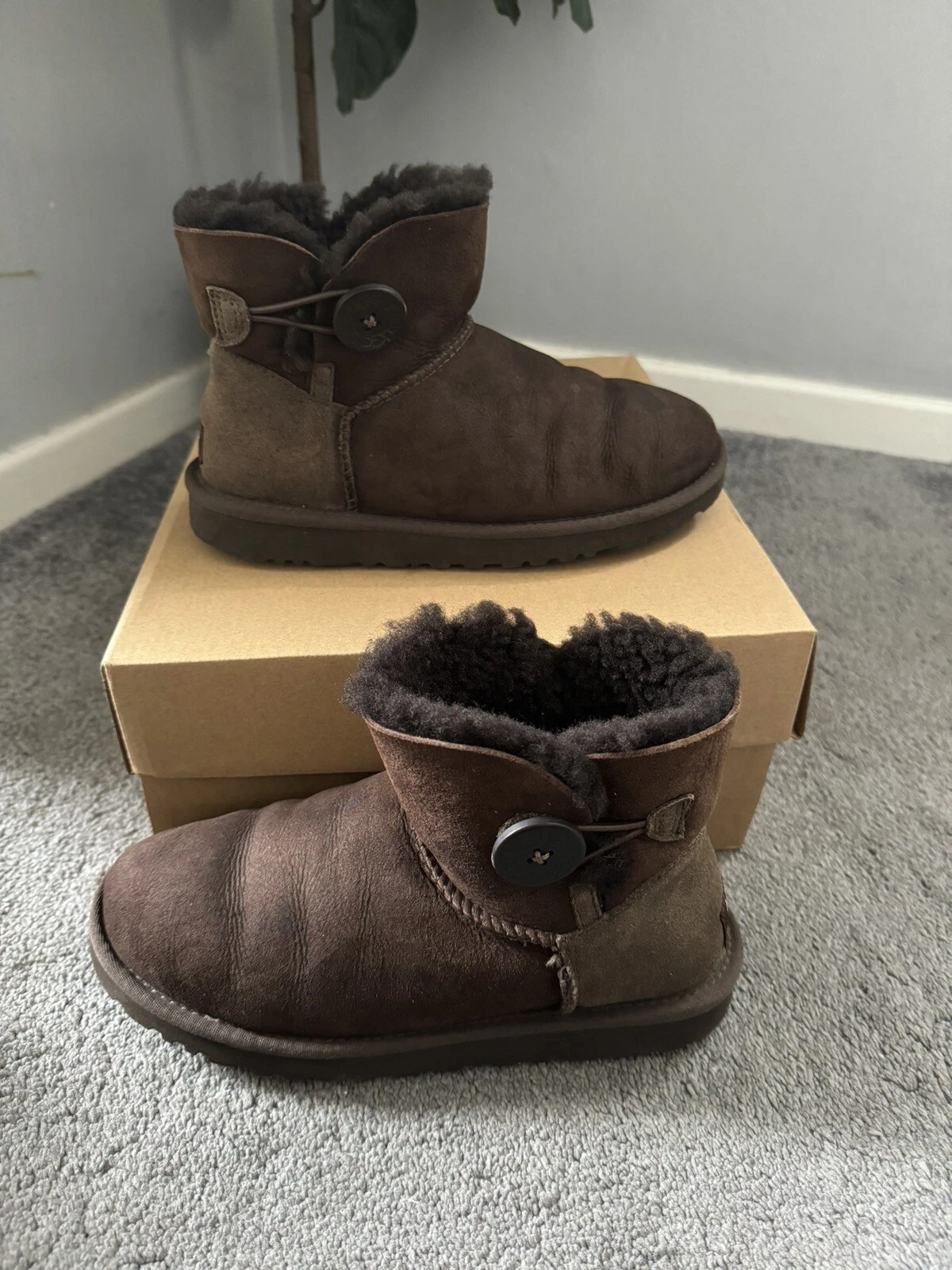 Stivali Usati Ugg Mini Bailey Bottoni Usati UK4 EU37 Marrone Cioccolato