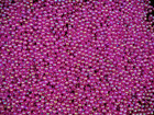 Beads 3mm Round Fuchsia AB 25g Plastic DIY Jewellery Spacers Filler