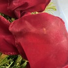 Bild 22 von 24