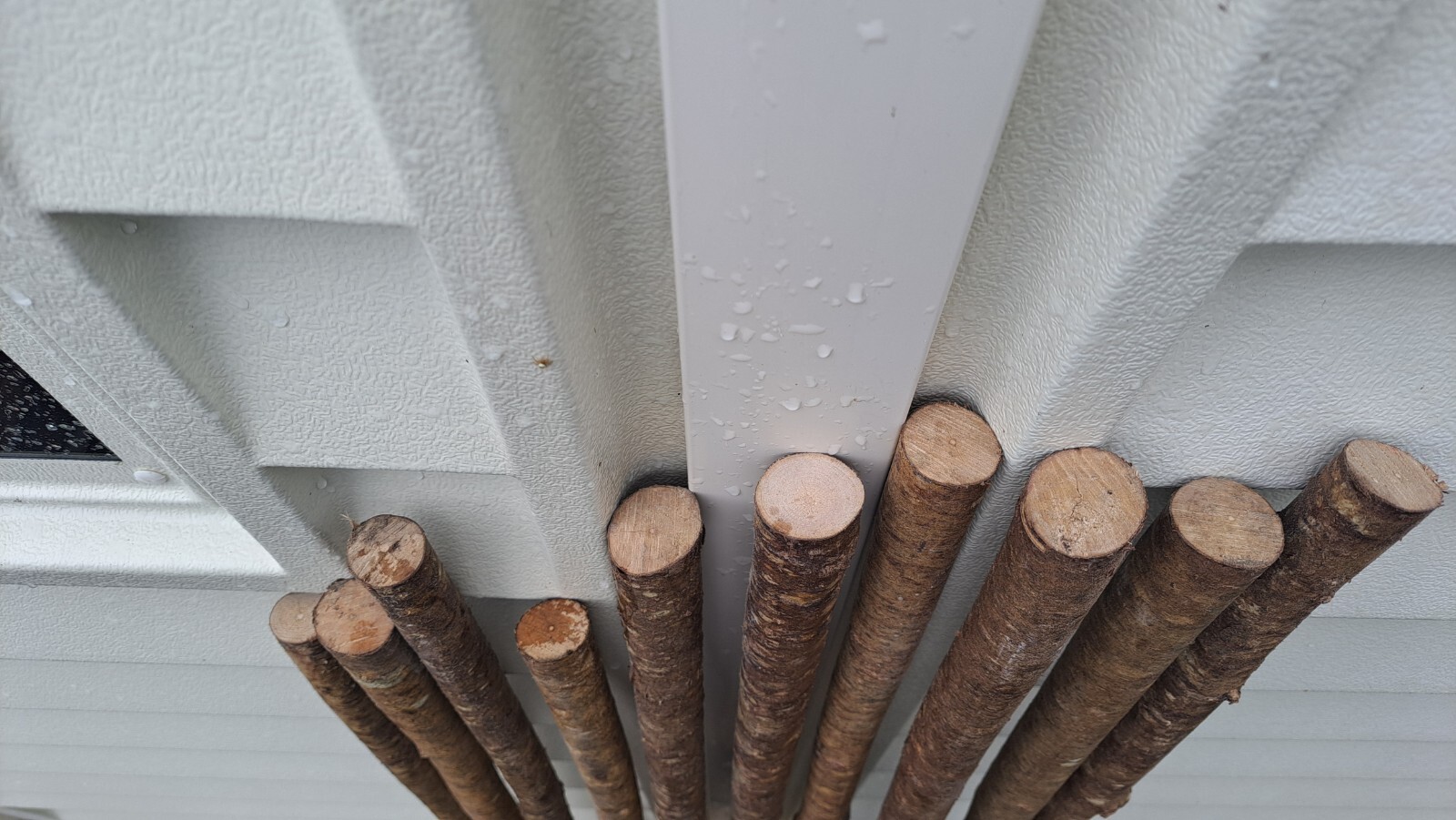 Hazel Walking Stick Shanks eBay