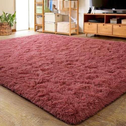Ultra Soft Indoor Modern Area Rugs Fluffy Living Room Carpets 2' x 3' Blush