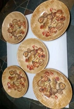Woven Pressed Bamboo Bowl Set Of 5 Mushrooms Varieties  10"x10"inch Vintage 60s