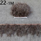 Bild 31 von 47