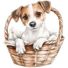 2 adesivi Jack Russell Terrier adesivi auto 9 x 9 cm cane JRT cucciolo set