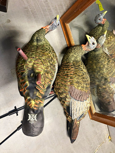 Avian-X LCD Collapsible Turkey Hunting Decoy w/ Stake, Multicolor Plastic