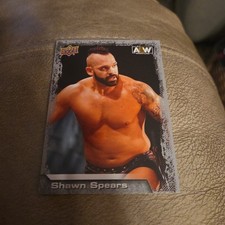 2022 Upper Deck AEW Shawn Spears #71 Wrestling Card