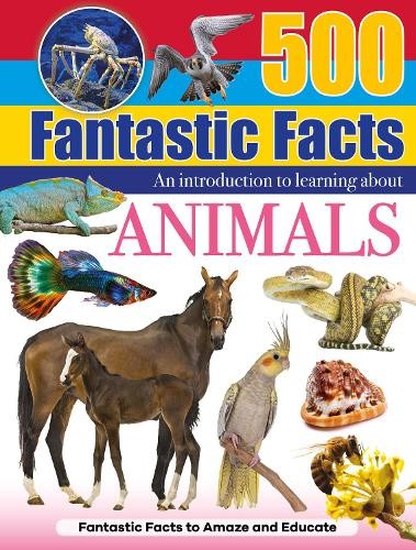 Animals (Hardback Book) - Image 4