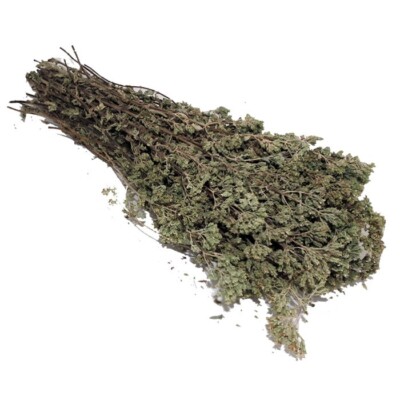 Oregano - Origano - Wilder Origano - ganz 25 - 30 gramm
