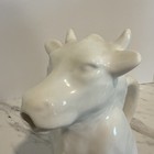 Picture 6 of 8