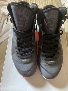 lebron 8 v2 cool grey