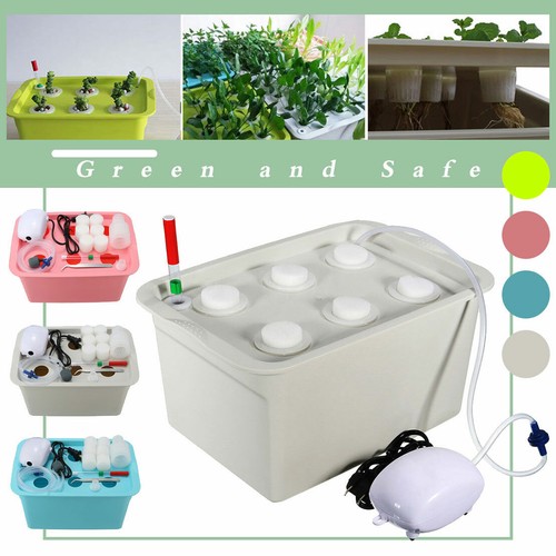 Indoor Pflanze Garten Wasser Kultur 