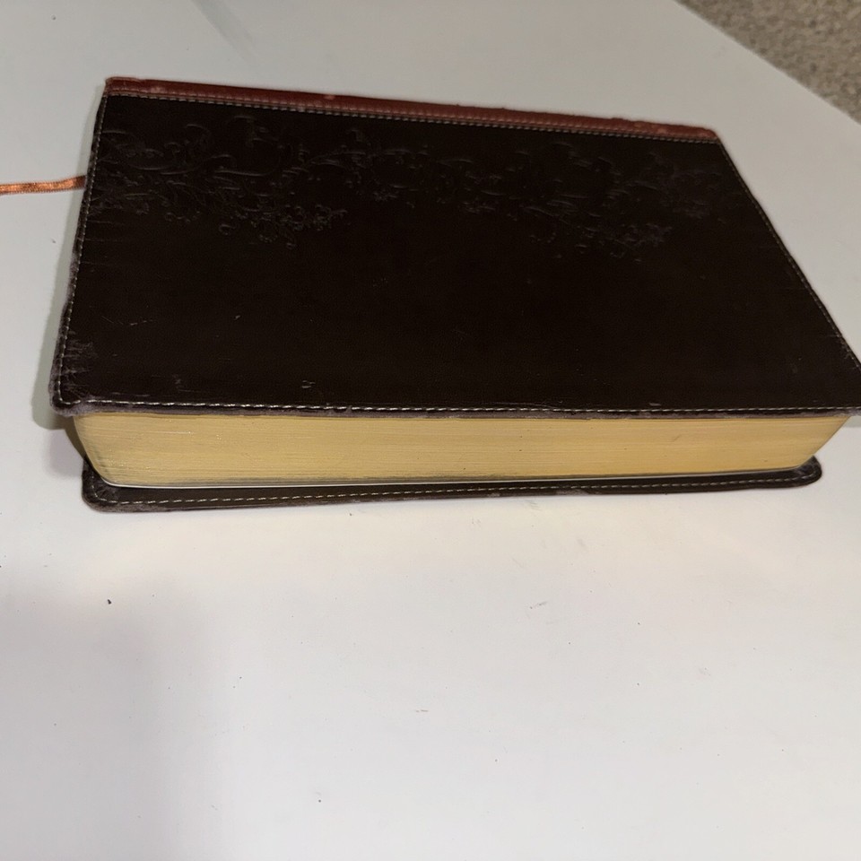 KJV Standard Full Color Bible Brown Bonded Leather Bold Line Edition