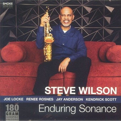 WILSON, Steve - Enduring Sonance - Vinyl (180 gram vinyl LP)
