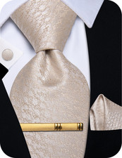Silk Ties for Men Paisley Floral Striped Necktie and Pocket Square Cufflinks Tie