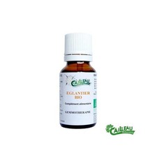 Eglantier gemmothérapie BIO.