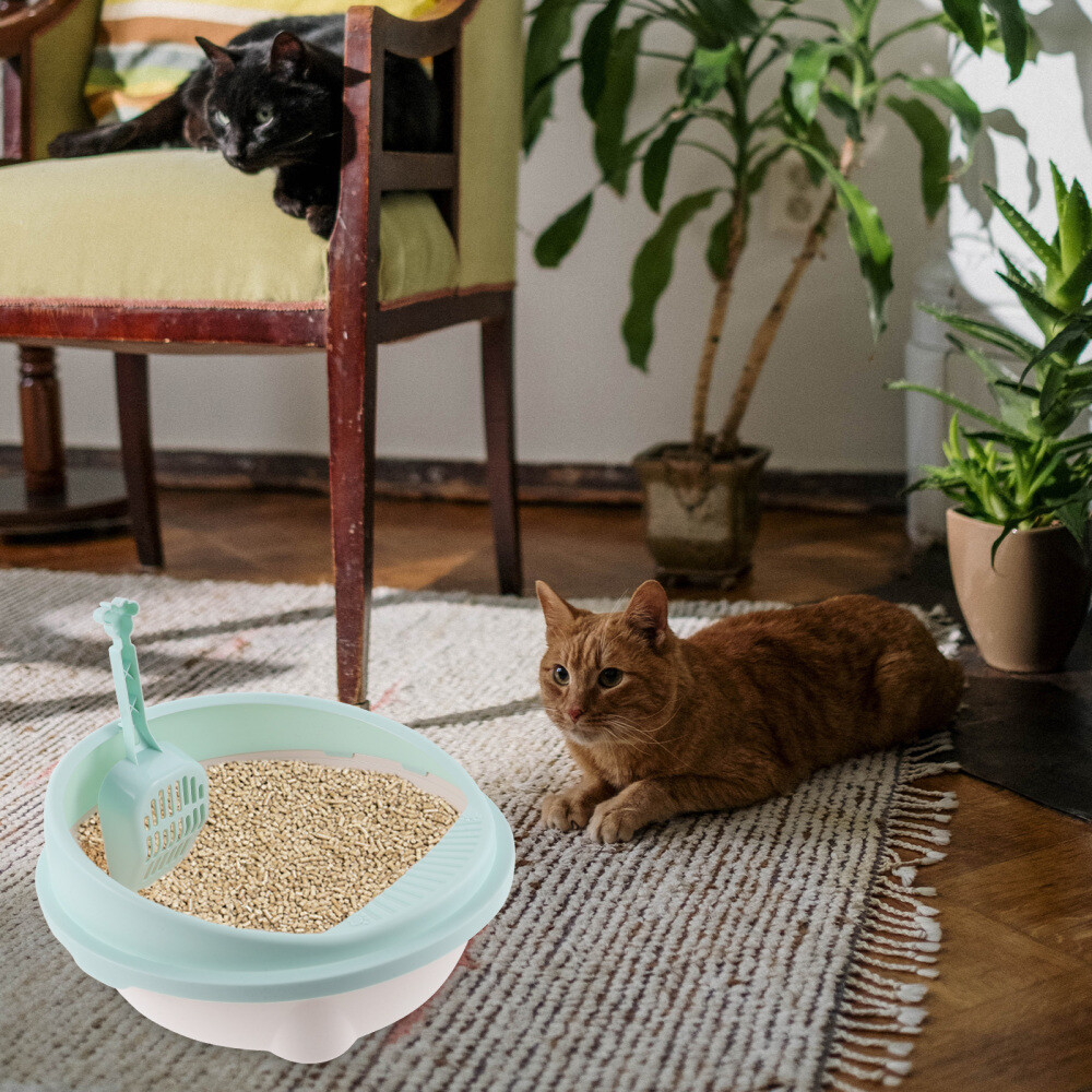 3x Cat Litter Boxes Open Litter Box Litter Box Low Entry Litter Box eBay