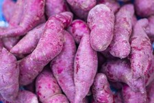 Organic Fresh Japanese Purple Sweet Potato by RawJoy Farms