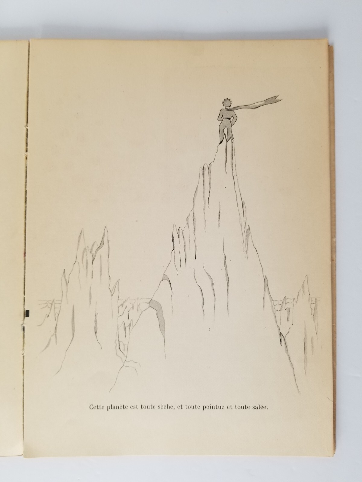 Picture 20 of 22
