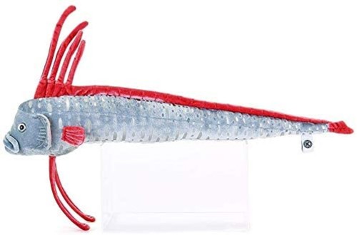 COLORATA Ryugu Notsukai Plush Deep Sea Fish 10cm x 21cm x 61cm F/S w/Tracking# - Picture 4 of 6