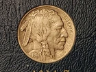 Beautiful 1914s Buffalo. XF With Great Details. Bold Date, Full Horn