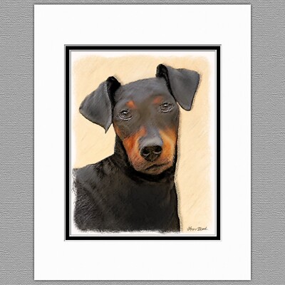 Manchester Terrier Toy Standard Dog Original Art Print 8x10 Matted to 11x14