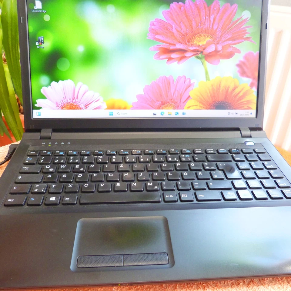 Terra 1512 15 Zoll Multimedia l Windows 11 l 16GB RAM NEU l DUAL CORE Mit Mangel - Bild 4 von 4