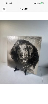 STRINGBAND: the maple leaf dog NICK 12'' LP 33 RPM Canada