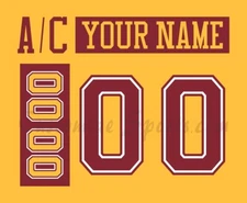 NCAA Minnesota Golden Gophers Customized Number Kit For 2010-2013 3rd Uniform