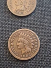 10 Vintage 1883 Indian Head Penny Coin Collection