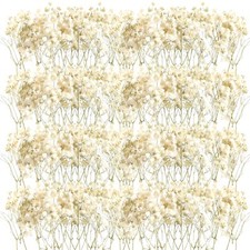 200 Pcs Mini Dried Baby Breath Flowers Gypsophila Ivory Natural Flowers Dried...