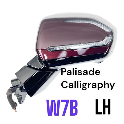 2023-2024 Hyundai Palisade W7B Side Mirror Left Calligraphy Camera
