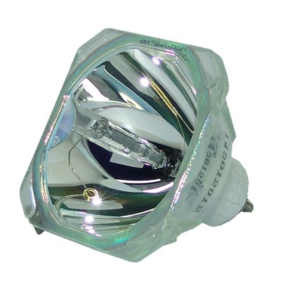 Philips E19.8 100/120W 1.0 AC Bare Lamp 9281-379-05390 - 1 Year Warranty