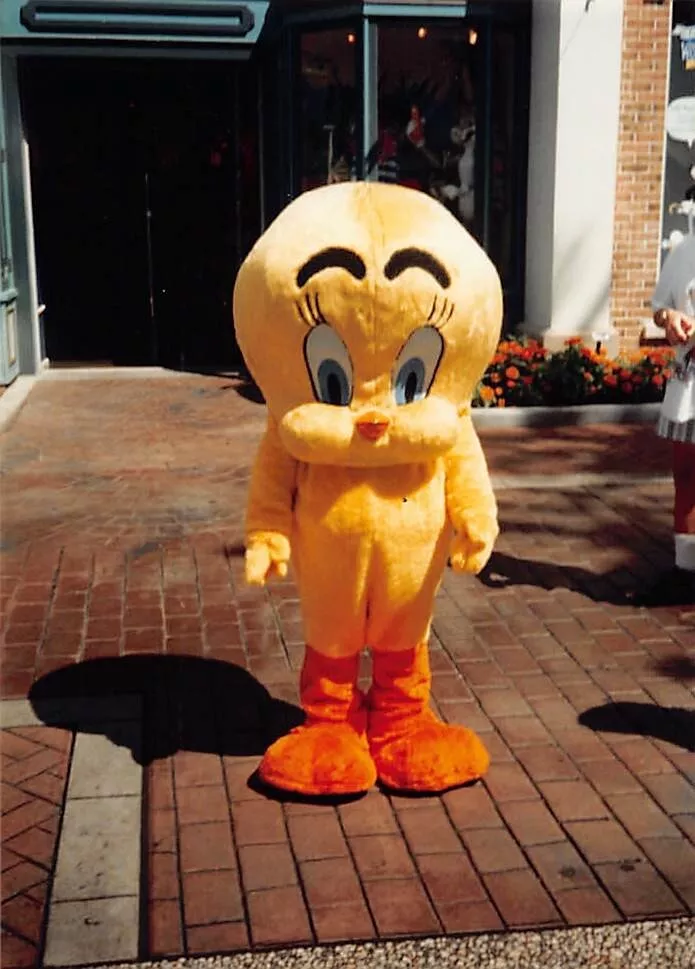 What Color Is Tweety Bird