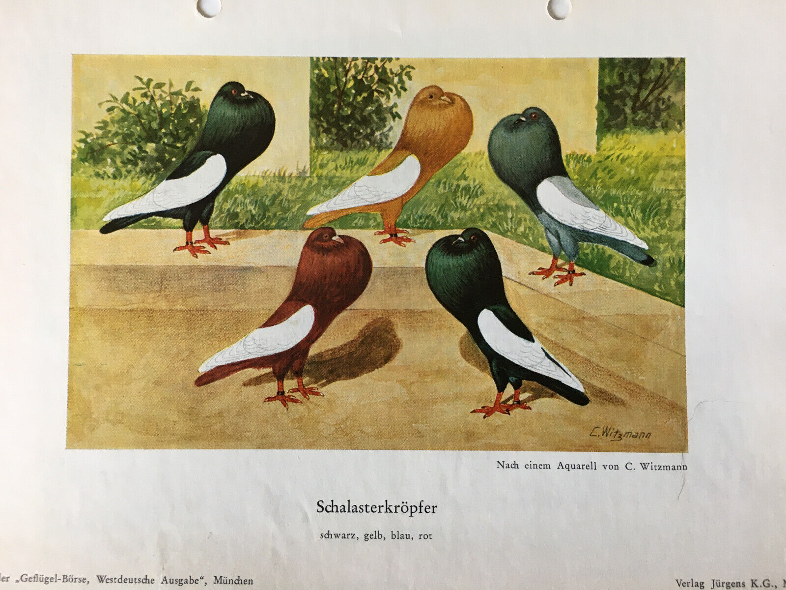 Bild 27 von 35