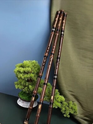 2025 Vertical Bamboo Flute Performance Beginner Purple Bamboo Xiao Eight Holes