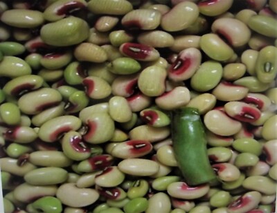 1 Lb Pinkeye Purple Hull BVR Cowpeas Benefits St. Jude