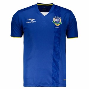 brazil futsal jersey