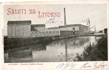 SALUTI DA LIVORNO TORRETTA OLEIFICIO PAVESE-F/P-B/N-V.1900
