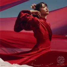 Sakurazaka46 Mega Jacket CD Nagaredama Limited Edition 24cm Sammlerstück