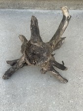 Large Driftwood Stump 27 x21 x 16 Hardwood Natural Sculpture Tennessee