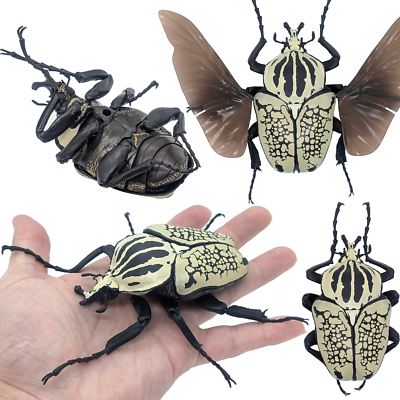 Bandai Japan Gashapon Goliathus Orientalis 7inch Big Realistic